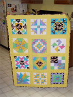 Andrew\\\&#39s bug quilt