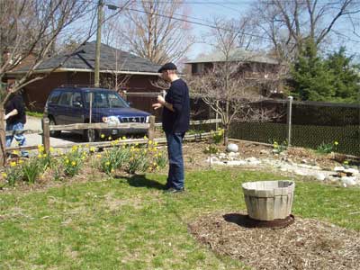 the back yard